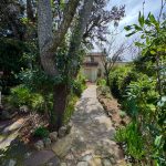 GR-rent-house-grimaud-garden-2